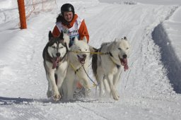 Kandersteg 2013